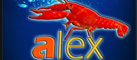 Alex App