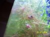 100_5058.JPG 100_5058.JPG