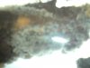 DSC01031.JPG