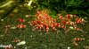 comp_260120122465.jpg