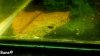 comp_260120122478.jpg
