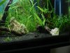 2012-02-16_Bild02.jpg