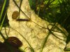 2012-02-17_Bild01.jpg