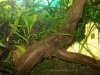 2012-02-17_Bild05.jpg
