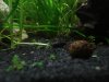 2012-02-17_Bild06.jpg