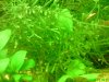 DSC03817.JPG