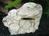 2012-02-20_Bild01.jpg
