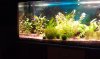 IMAG0109.jpg