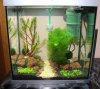AquaArt30_1.jpg
