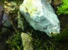 IMG_0024.jpg IMG_0024.jpg