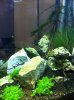 IMG_0036.jpg IMG_0036.jpg
