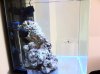 aquarium_20120312_1.jpg aquarium_20120312_1.jpg