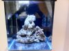 aquarium_20120312_2.jpg aquarium_20120312_2.jpg
