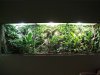 terrarium.jpg terrarium.jpg
