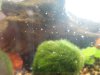 DSC01640_small.jpg DSC01640_small.jpg