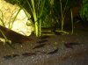 2012-03-18_Bild05.jpg