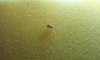 2012-03-28_20_31_08.jpg 2012-03-28_20_31_08.jpg