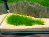DSCN0715.JPG DSCN0715.JPG