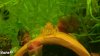 comp_2012-03-16-608.jpg