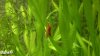 comp_2012-03-16-957.jpg