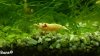 comp_2012-03-18-1117.jpg