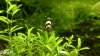 comp_2012-03-16-755.jpg