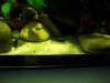 100_7819.jpg