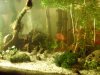 aq10.12.2 00712er.jpg