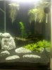 2012-05-13_19-31-20_171.jpg 2012-05-13_19-31-20_171.jpg