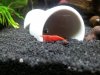 20120505_183217.jpg