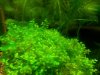20120426_174723.jpg
