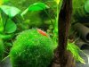 20120505_183626.jpg