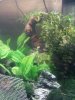 2012-05-19 13.00.24.jpg