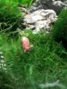 2012-05-20 04.25.22.jpg