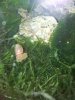 2012-05-20 04.25.35.jpg