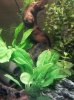 2012-05-20 09.14.15.jpg