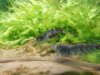 DSCN1803.jpg