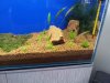 20120608_183944.jpg