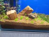 20120608_183957.jpg