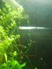DSCN6348.JPG