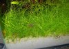 101_3820.JPG 101_3820.JPG