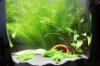 Nano rund Bild 4.jpg Nano rund Bild 4.jpg