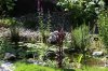 Gartenteich.jpg Gartenteich.jpg