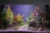 Tetra Aquaart Crystal Rock.jpg Tetra Aquaart Crystal Rock.jpg