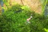 101_4114.JPG