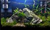 2012-07-24_14-57-22_HDR (750x464).jpg