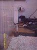 DSCI0821A.jpg DSCI0821A.jpg