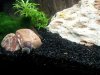 20120803_165200.jpg