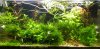 20120811.jpg