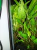 2-20120811_150905.jpg 2-20120811_150905.jpg